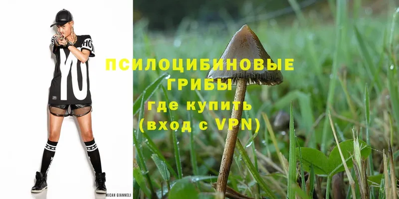 ОМГ ОМГ сайт  где купить   Буйнакск  Псилоцибиновые грибы Psilocybe 